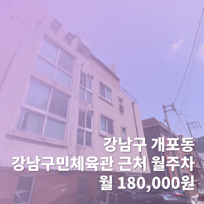 서울시 강남구 개포동 강남구민체육관 근처 월주차장 (월 180,000원)