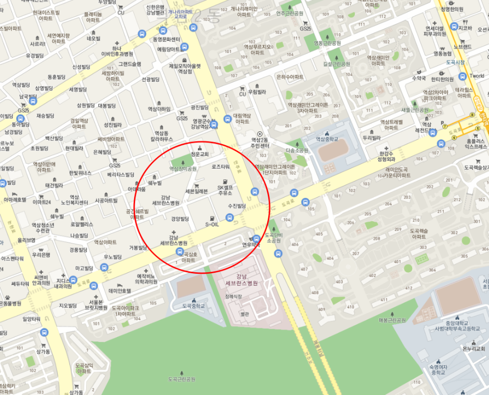 서울 강남구 역삼 월주차(강남세브란스근처) 안내