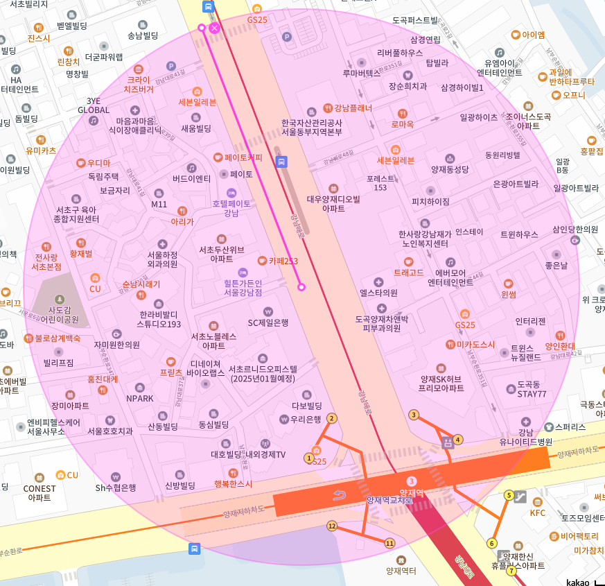 서초구 | 서초동 | 강남 뱅뱅사거리 | 양재역 월주차 알아보시나요?