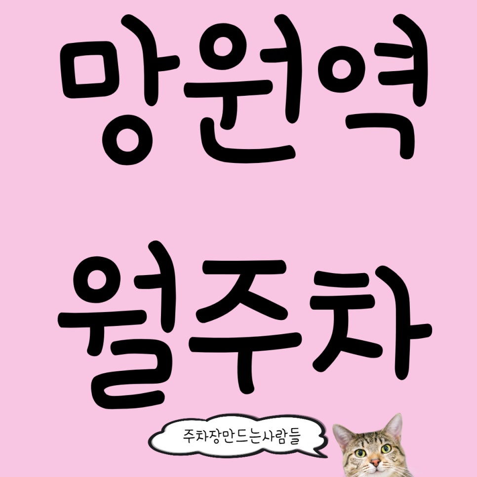 망원역 월주차 나만 모르고 남들 다 아는 주차장 구하는 법 대표 이미지