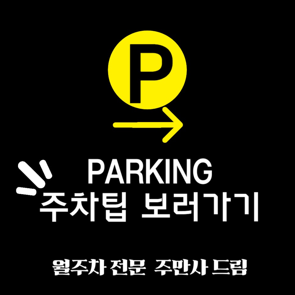 운전초보 서울 시내(평행주차)주차 꿀팁 대표 이미지