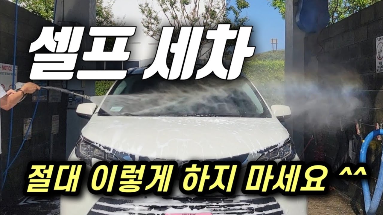 셀프 세차 가이드: 세차 방법, 도구, 주의점!