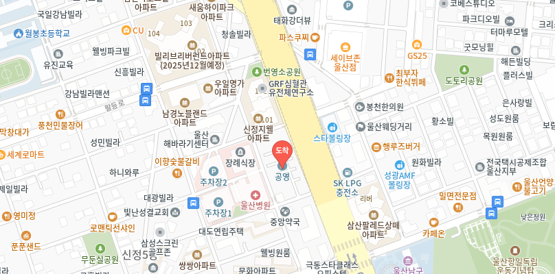 남구 공영주차장 _ 울산광역시 남구 공영 주차장 상세 정보