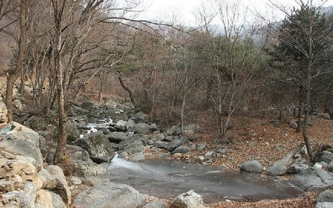 여름 계곡 추천_ 서울 근교 숨은 명소 소개