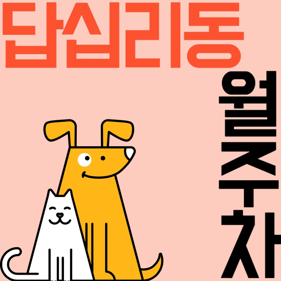답십리동 월주차 _ 답십리역 주차장 찾을 땐 주만사가 답입니다!