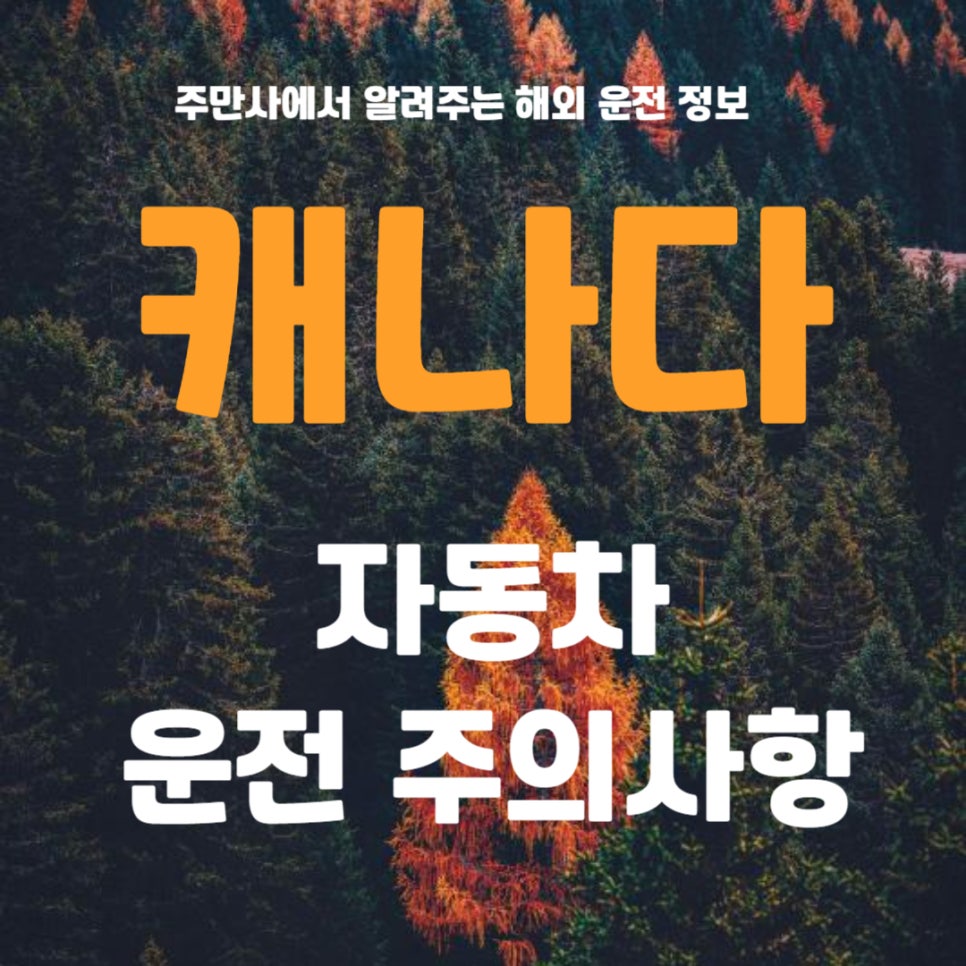캐나다 여행 시 자동차 운전 주의사항 및 tip