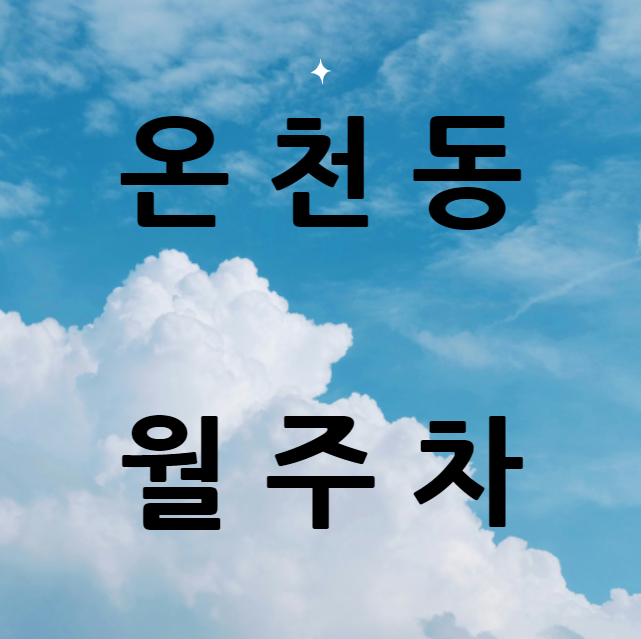 온천동 월주차 / 미남초등학교 바로 앞 신규 주차장