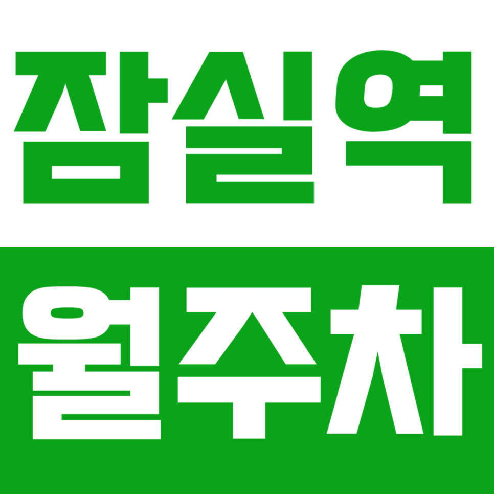 잠실역 월주차_역세권 24시간 월주차장 차단기까지 있어 안전하게 이용하기!