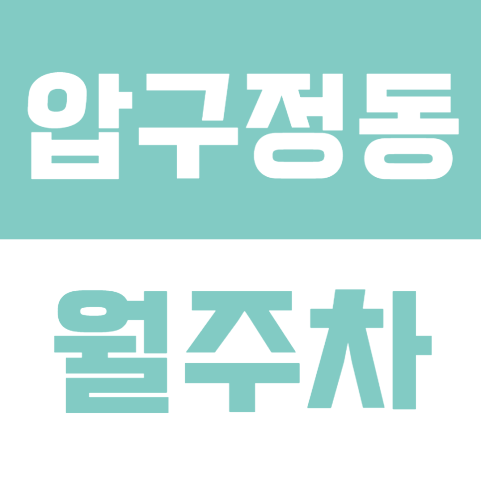 압구정동 월주차_압구정 주차 문제가 고민이시면 주만사와 함께 해결하세요!