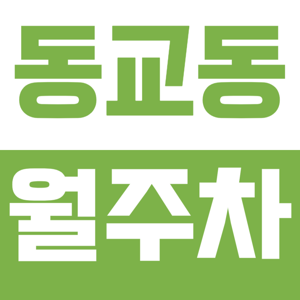 동교동 월주차_동교동 먹자골목 주차 문제 이젠 안녕~