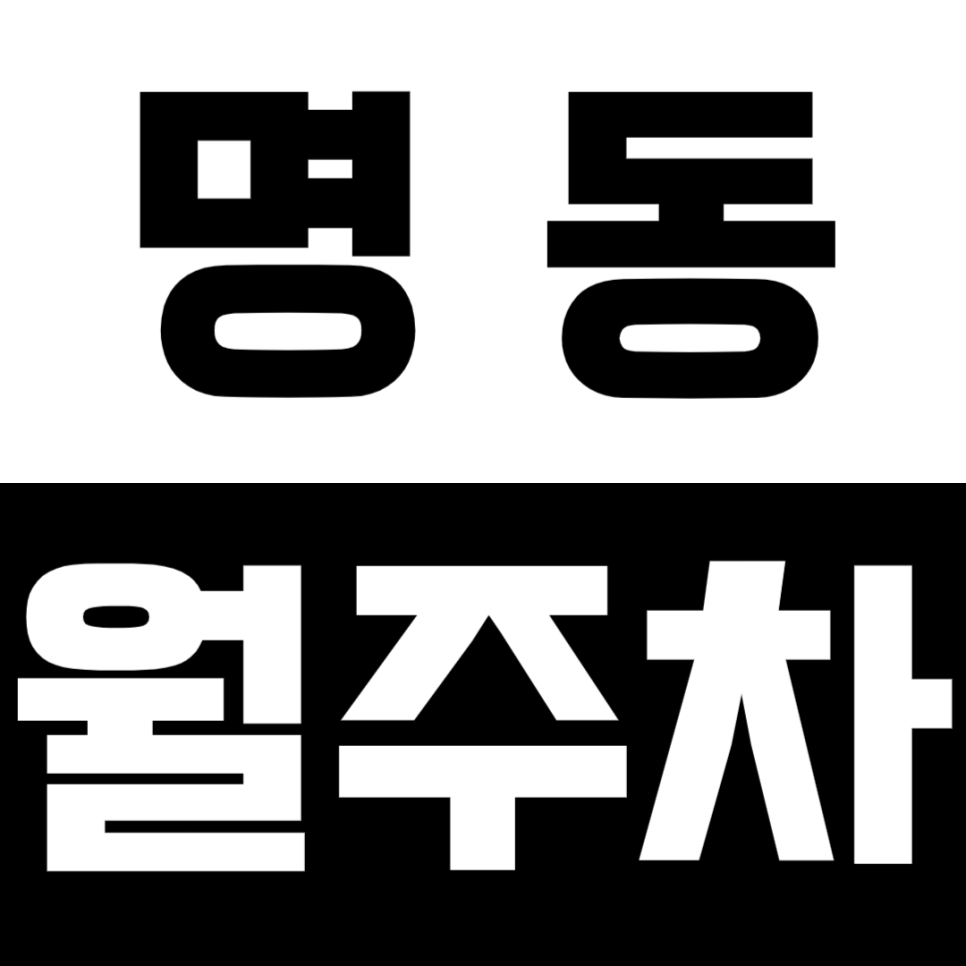 명동 월주차_명동역ㅣ충무로역 인근 24시 기계식 주차 이용하는 방법