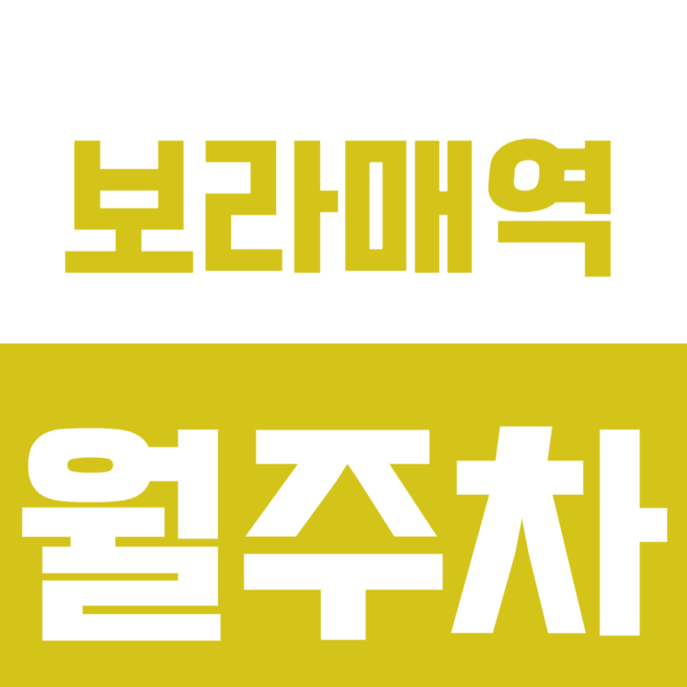 보라매역 월주차_ "도보 4분" 접근성 좋은 24시 주차장!