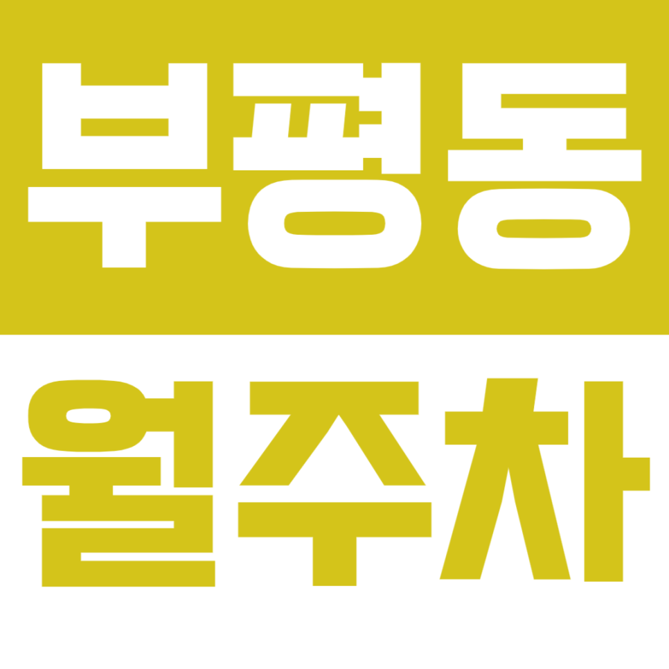 부평동 월주차_N만원대로 이용하는 부평역 역세권 기계식 주차장