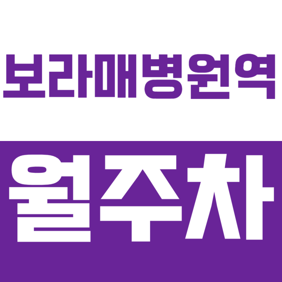 보라매병원역 월주차_2번출구 인근 차단기설치, 안심주차하세요 대표 이미지