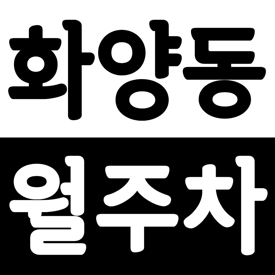 화양동 월주차 어린이대공원역 인근 월주차장으로 주차 문제 해결 대표 이미지