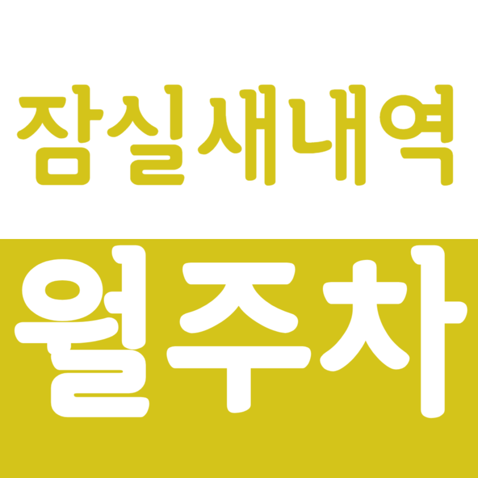 잠실새내역 월주차 잠실새내역 역세권 월주차 소개