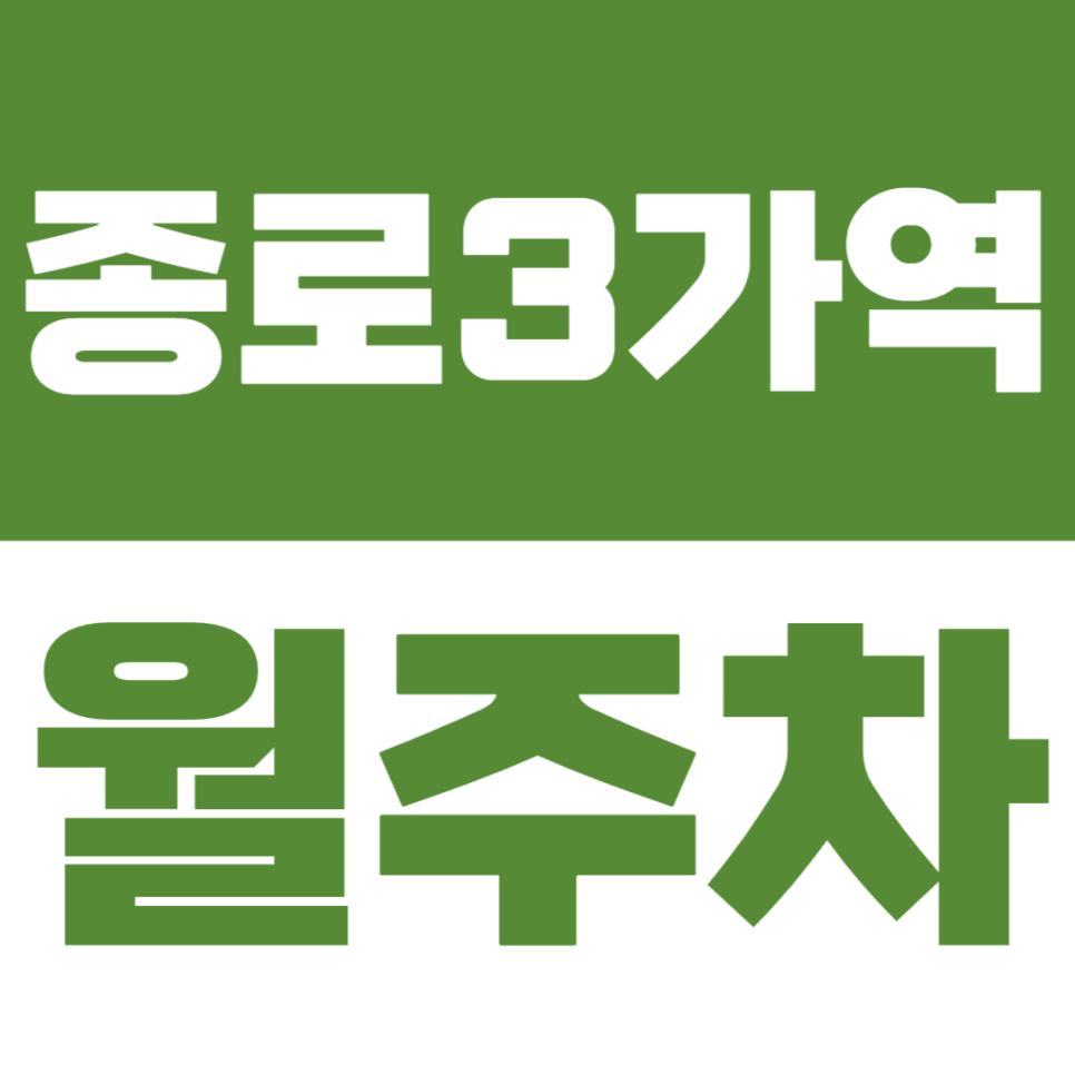 종로3가역 월주차 종로구 인근 주차문제를 쉽게 해결하기 대표 이미지