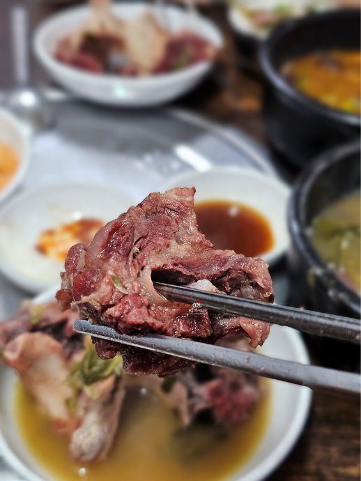 DDP 주차장 | 동대문역사문화공원, 동대문 인근 대화정진짜해장국 맛집, 저렴한 주차장 소개& 꿀팁!✨