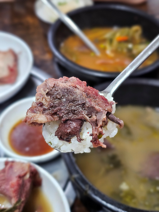 DDP 주차장 | 동대문역사문화공원, 동대문 인근 대화정진짜해장국 맛집, 저렴한 주차장 소개& 꿀팁!✨