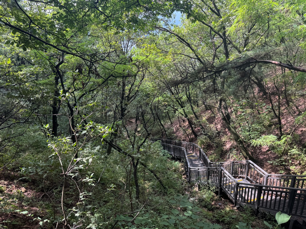 불암산 주차장 | 초보 등산러 필수! 불암산 등산코스 및 가성비 주차 꿀팁