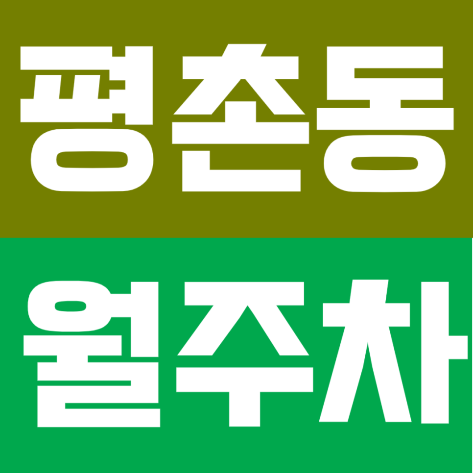 평촌동 월주차 | 평촌역까지 단 100m, 이중주차 없는 쾌적한 자주식 단일주차장