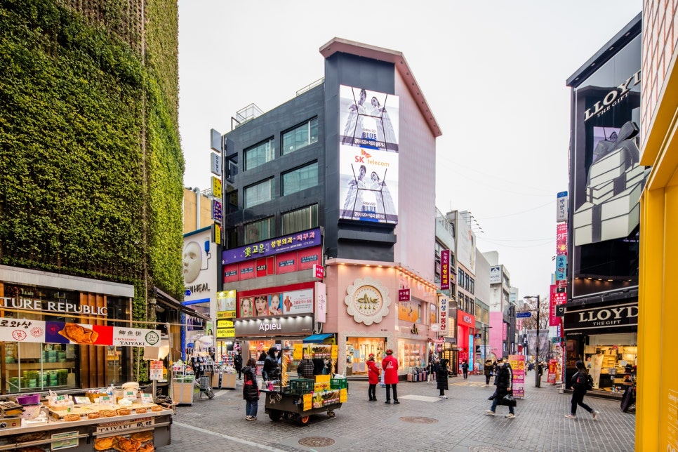 남산타워 주차장 | 서울 남산동·명동역 생활권 주차난 해결사! 주변 주차장 연결 서비스 주만사 소개