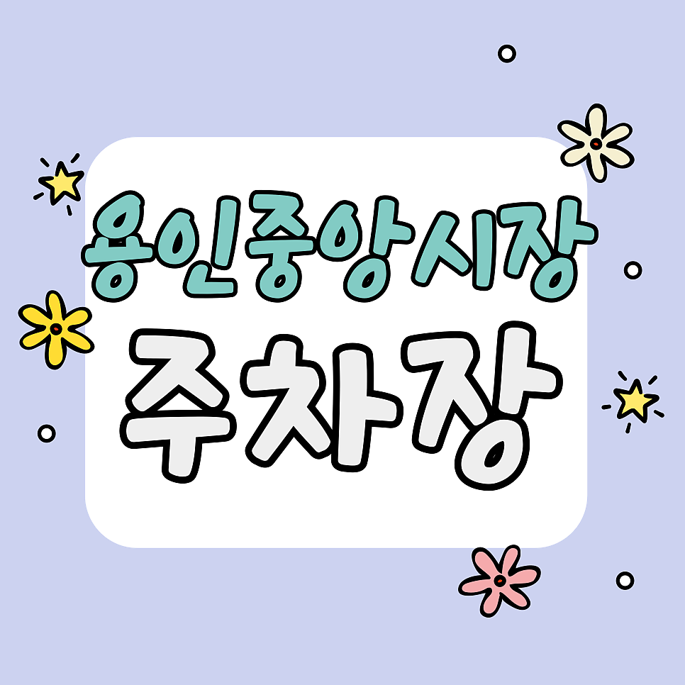 용인중앙시장 주차 3,000원으로 해결? ‘선비만두’ 웨이팅도 맘 편히 즐기는 법