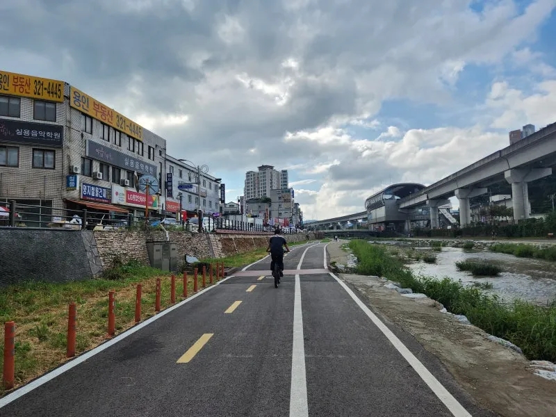 용인중앙시장 주차 3,000원으로 해결? ‘선비만두’ 웨이팅도 맘 편히 즐기는 법