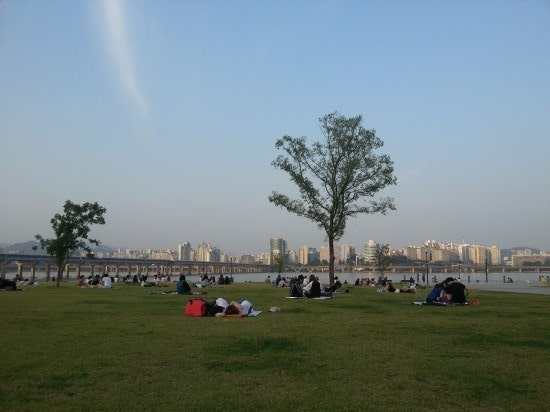 여의도 주차장 | 업무·한강 나들이·불꽃축제 완벽 가이드