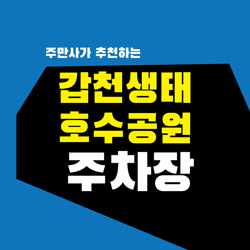 갑천생태호수공원 주차장 | 단속 걱정 끝! 8,900원으로 즐기는 공원   도안동 핫플 완벽 코스