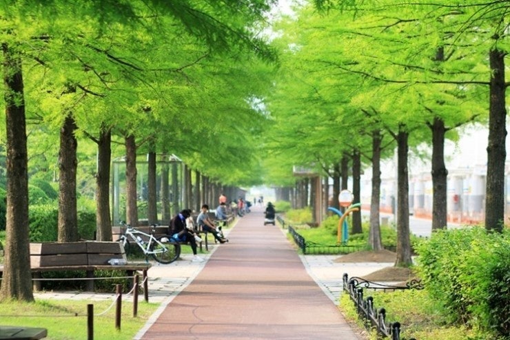 한밭수목원 주차장 | 대전 한밭수목원 피크닉 가이드: 돗자리 명당부터 주차장 안내