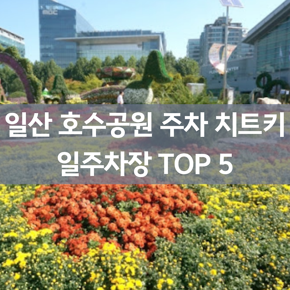 일산호수공원 주차장 완벽 정리! 줄 서지 않고 바로 세우는 일주차 명당 5곳