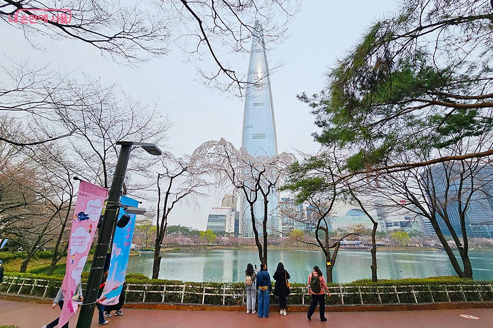 석촌호수 벚꽃 나들이 주차 완벽 가이드: 송파구청 인근 가성비 주차장 BEST 4