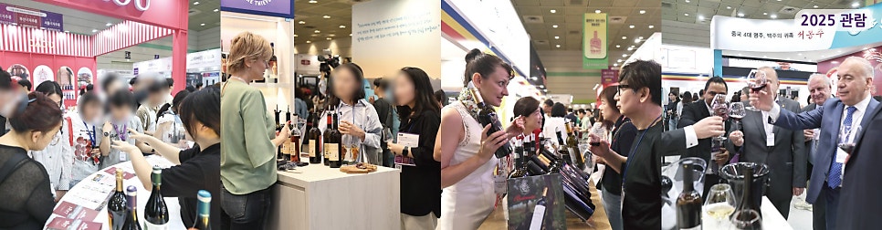 [6월 코엑스 가볼만한곳] 서울국제주류&와인박람회 X 서울국제도서전 일정 총정리! (feat. 코엑스 주차장 꿀팁)