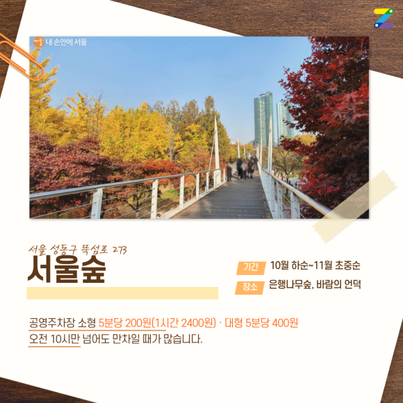 가을 단풍놀이 주차 꿀팁! 서울숲·가로수길·남산공원·올림픽공원 근처 가성비 주차장 & 명당 지도 완벽 정리
