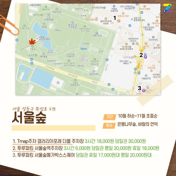 가을 단풍놀이 주차 꿀팁! 서울숲·가로수길·남산공원·올림픽공원 근처 가성비 주차장 & 명당 지도 완벽 정리
