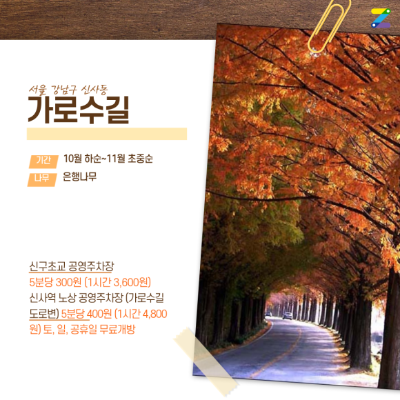 가을 단풍놀이 주차 꿀팁! 서울숲·가로수길·남산공원·올림픽공원 근처 가성비 주차장 & 명당 지도 완벽 정리