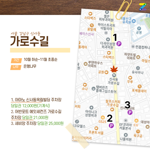 가을 단풍놀이 주차 꿀팁! 서울숲·가로수길·남산공원·올림픽공원 근처 가성비 주차장 & 명당 지도 완벽 정리