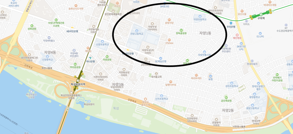 뚝섬 월주차 ㅣ 믿을 수 있는 주만사 월주차 서비스