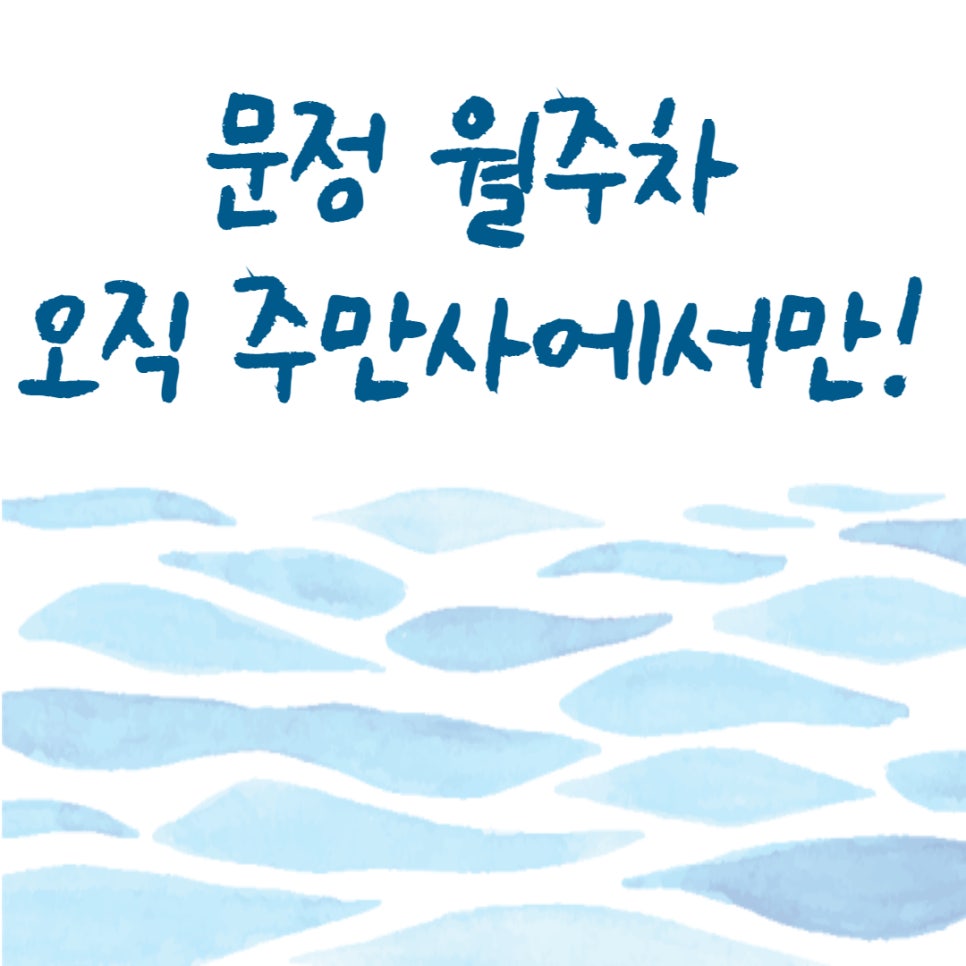 문정 월주차 ㅣ 주만사로 빠르게 구해요 대표 이미지