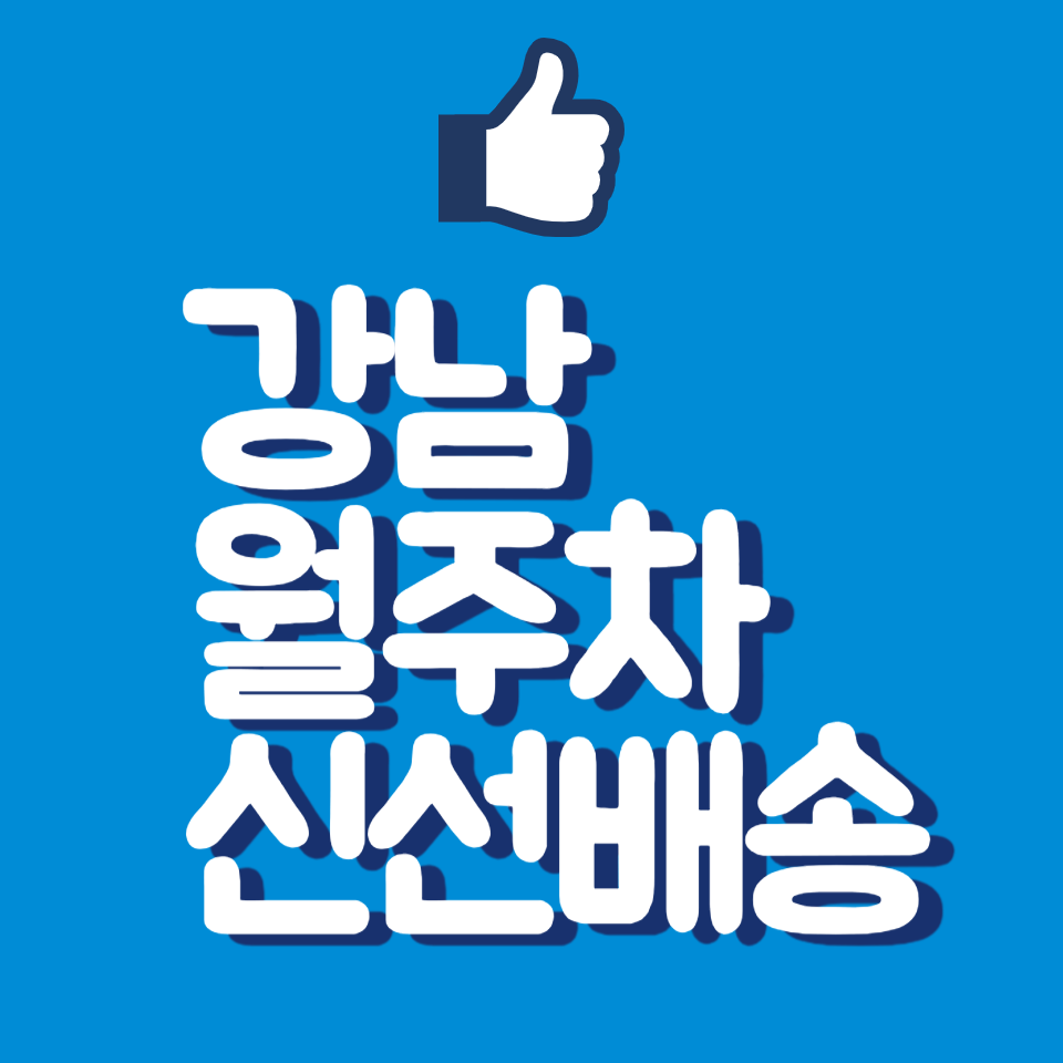강남 월주차, 친구 같은 주만사 따라 강남 가서 주차하기 대표 이미지