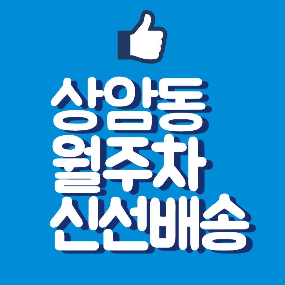 상암동 월주차, 새누리 어린이 공원 인근 디지털미디어시티역 주변 대표 이미지