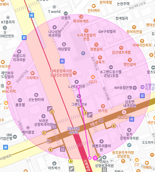 신논현역 월주차 / 신논현역 3번출구 바로 앞! 초역세권, 기계식 주차장
