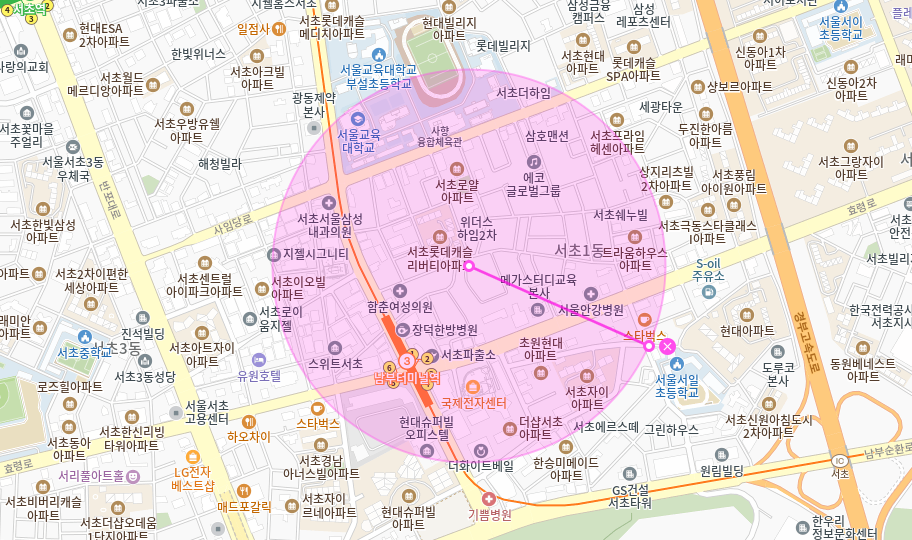 서초동 월주차 _ 남부터미널역 인근 탑차까지 주차 가능!