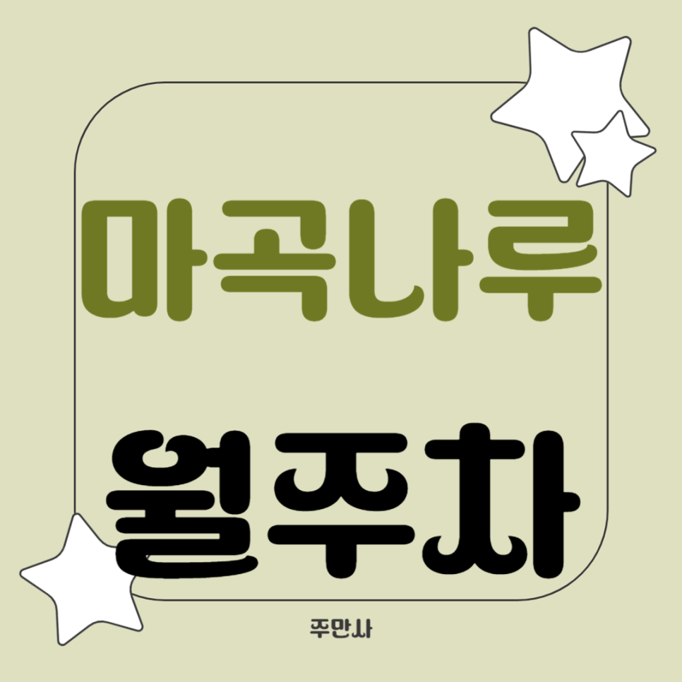 마곡나루 월주차_탑차 주차 가능한 주차장 추천합니다 대표 이미지