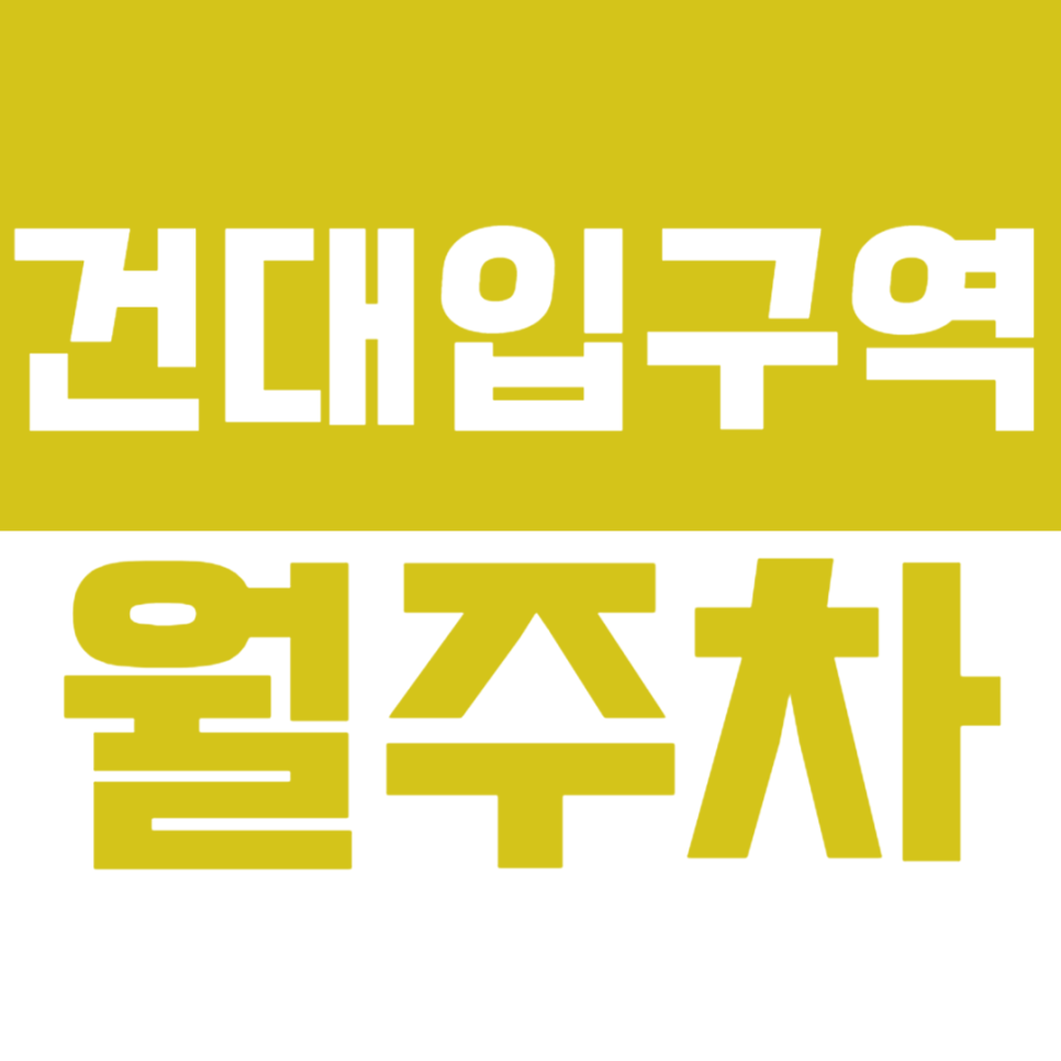 건대입구역 월주차_화양동 지정석 월주차장이 10만원대? 대표 이미지