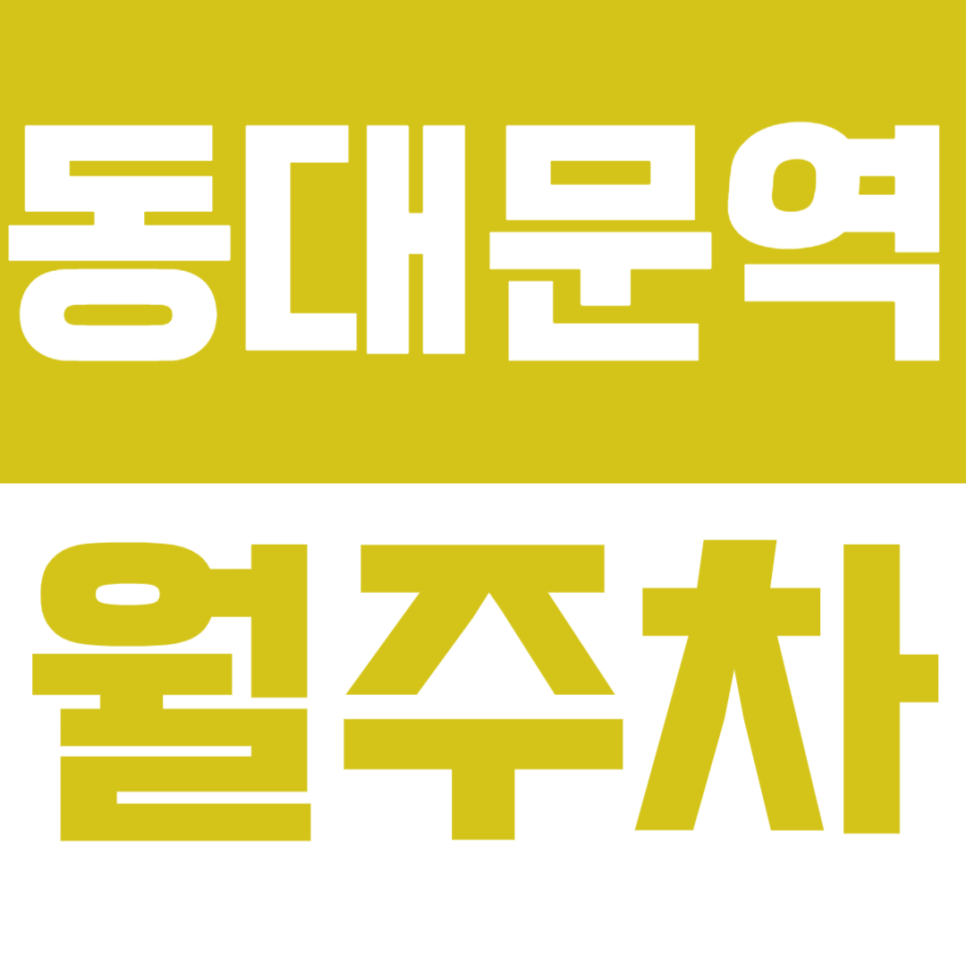동대문역 월주차_현대면세점ㅣ두타몰 인근 월주차로 주차 고민 해결하세요! 대표 이미지