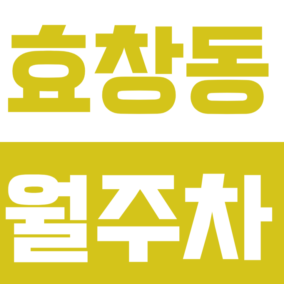 효창동 월주차_ 효창공원앞역, 숙명여대 인근 주차 문제 해결완료! 대표 이미지