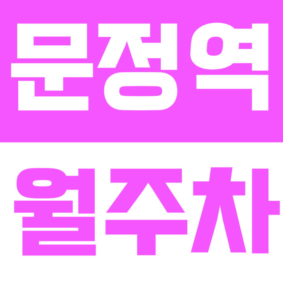 문정역 도보 3분 월주차장 - 24시간 편리하게 이용하는 지정석 월주차 주만사로 주차난 해결하세요 대표 이미지