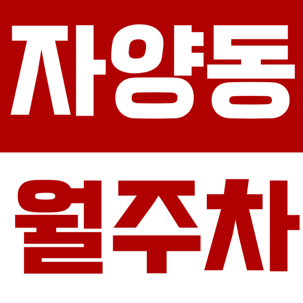 자양동 거주자라면 주목! 경차 운전자에게 추천하는 24시간 자주식 월주차 대표 이미지